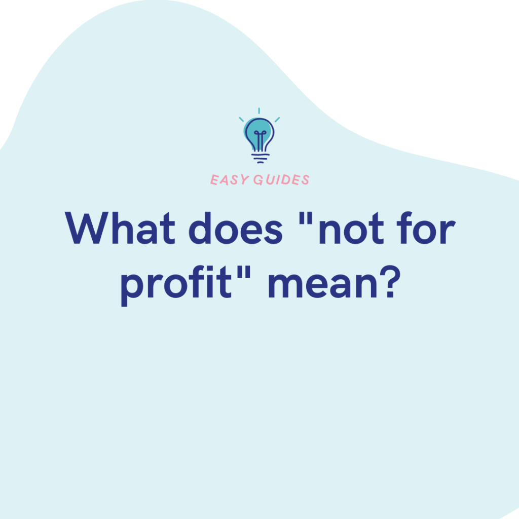 What does not for profit mean